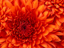 Load image into Gallery viewer, 3rd marchhh

